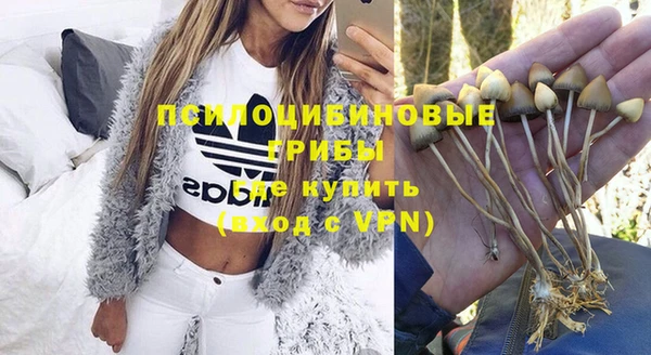 прущий лед Абаза