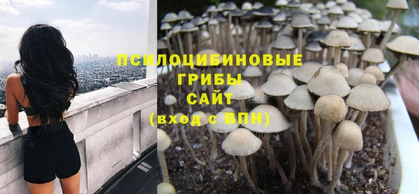 прущий лед Абаза