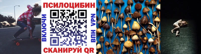 Псилоцибиновые грибы прущие грибы  Берёзовка 